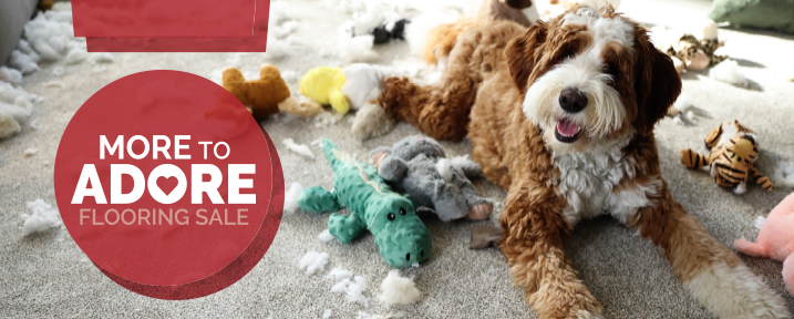 more to adore flooring sale